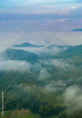 The stunning view from a tourist's standpoint as they go down a hill on a foggy trail with a hill and a background of a golden sky in Forest Park, Thailand. Rainforest. Bird's eye view. Aerial view.  © Thananchanok