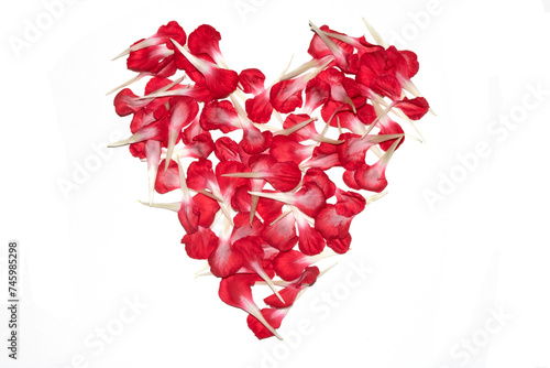 Red Flower Petals in the shape of a Romantic Love Heart on White Background