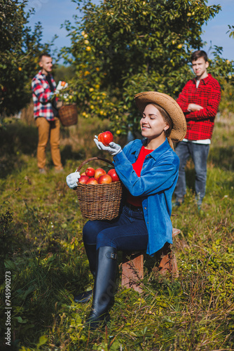 Happy smiling female worker in hat picking fresh ripe apples in orchard during autumn harvest. Harvest time photo