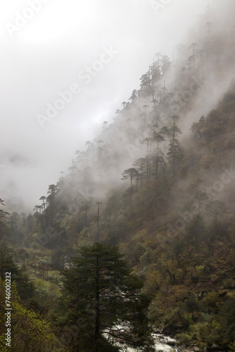 Misty foggy mountain landscape with majestic view on beautiful fog mountains in mist landscape in karpo arunachal pradesh India.