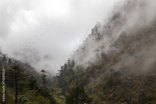 Misty foggy mountain landscape with majestic view on beautiful fog mountains in mist landscape in karpo arunachal pradesh India. © Rahul