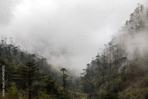 Misty foggy mountain landscape with majestic view on beautiful fog mountains in mist landscape in karpo arunachal pradesh India.