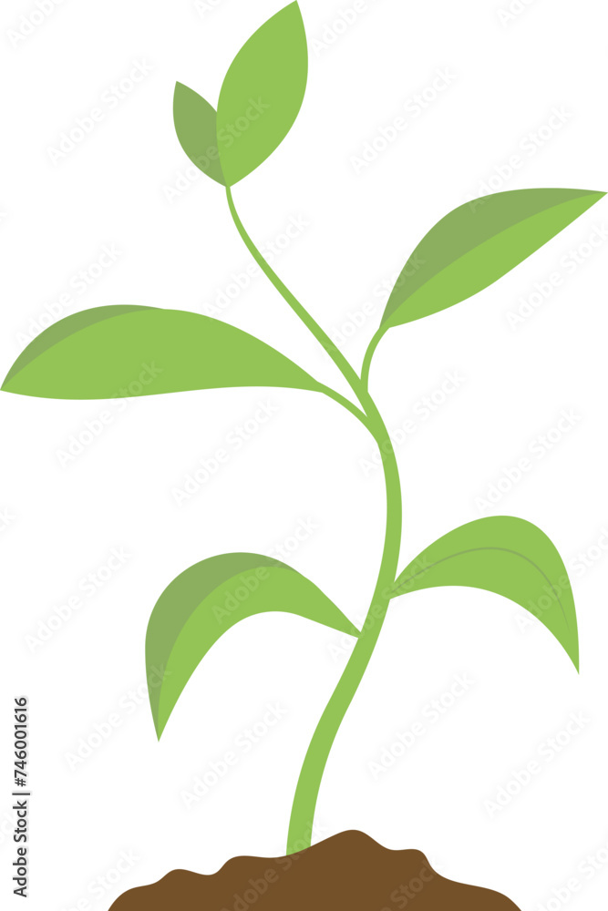 Green little sprout isolated. Small fresh plant. Growth and new life. Single baby plant isolated. Cultivation, environment, nature concept. Green little sprout isolated. Small fresh plant. Growth and new life. Single baby plant isolated. Cultivation, environment, nature concept.