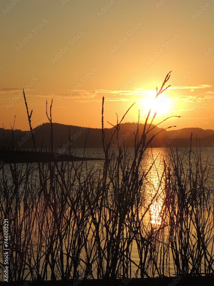 Ramas secas a contraluz mientras el sol se pone sobre un embalse de agua tranquila