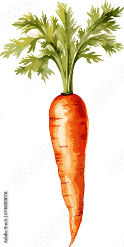 Watercolor vegetable carrot with green leaf closeup isolated on a white background. Hand painting on paper. AI generated illustration.
