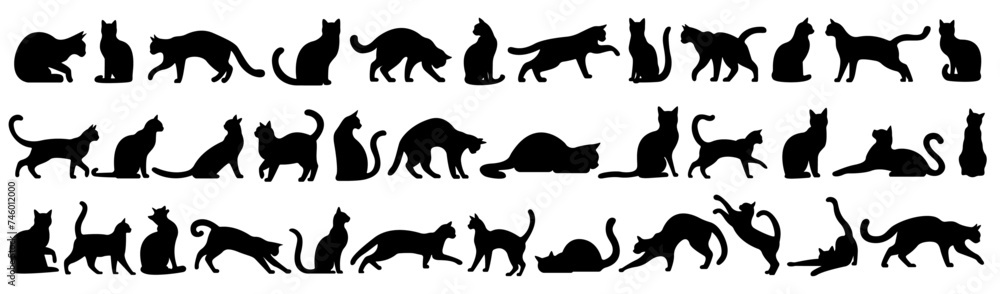 Collection of cat silhouettes in various poses isolated on background