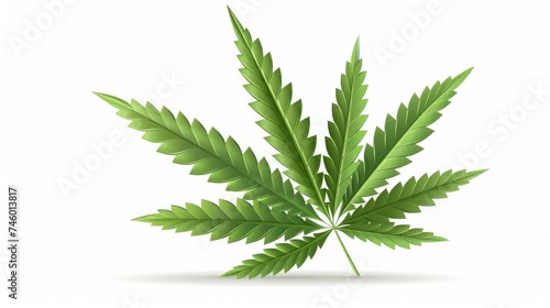 Vibrant Cannabis Leaf, Green Foliage Against a Clean White Background