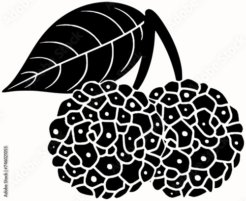 plant illustration tree silhouette nature logo fruit icon flower outline floral garden leaf berry branch ripe dogwood green natural shape of leaf berry for vector graphic background