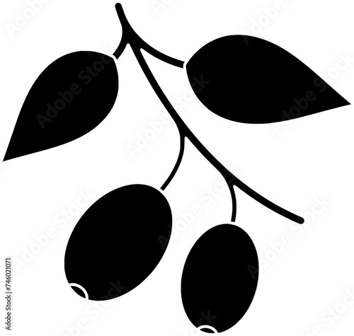 plant illustration tree silhouette nature logo fruit icon flower outline floral garden leaf berry branch ripe dogwood green natural shape of leaf berry for vector graphic background