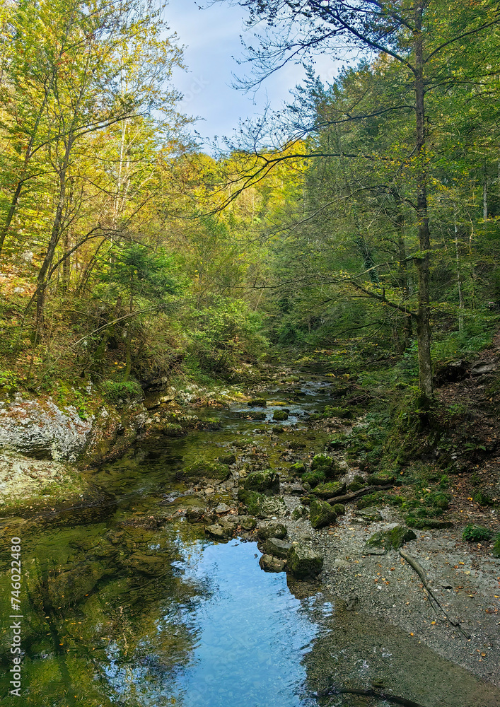 Protected forest landscape of the small river Kamacnik, canyon in Gorski kotar, Croatia