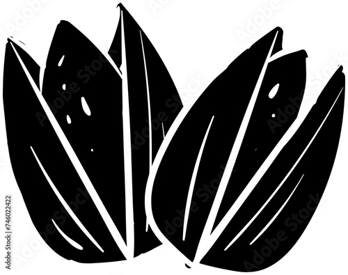 plant illustration food silhouette healthy logo pistachio icon nature outline snack nut green nuts natural leaf shell organic ingredient shape of green nuts for vector graphic background