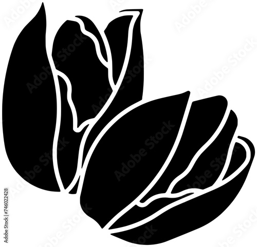 plant illustration food silhouette healthy logo pistachio icon nature outline snack nut green nuts natural leaf shell organic ingredient shape of green nuts for vector graphic background