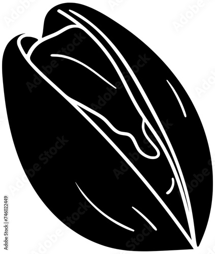 plant illustration food silhouette healthy logo pistachio icon nature outline snack nut green nuts natural leaf shell organic ingredient shape of green nuts for vector graphic background