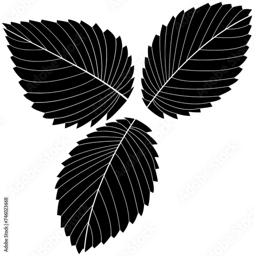 strawberry illustration plant silhouette leaf logo tree icon nature outline green natural food organic fruit garden fresh summer branch shape of food organic for vector graphic background