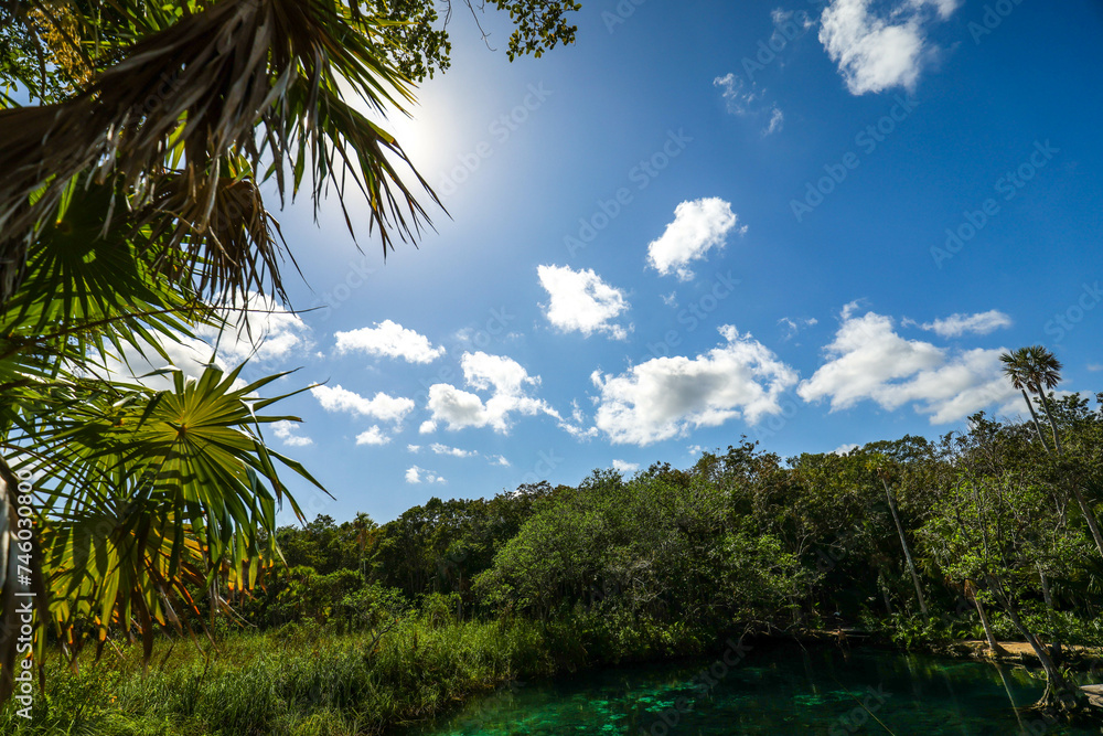 Mexico tourism destination, Cenote Corazon near Tulum and Playa Del Carmen.