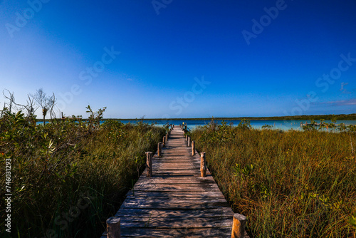 Fototapeta Naklejka Na Ścianę i Meble -  muelle, follaje, naturaleza, one of Beautiful blue hole Kaan Luum lagoon in Tulum, Quintana Roo in Mexico.