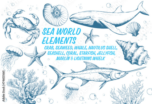 Sea world elements: Seaweed, whale, marlin,  nautilus shell, seashell, coral, starfish, jellyfish and lightning whelk Vintage Undersea. Collection. Sketch illustration	
