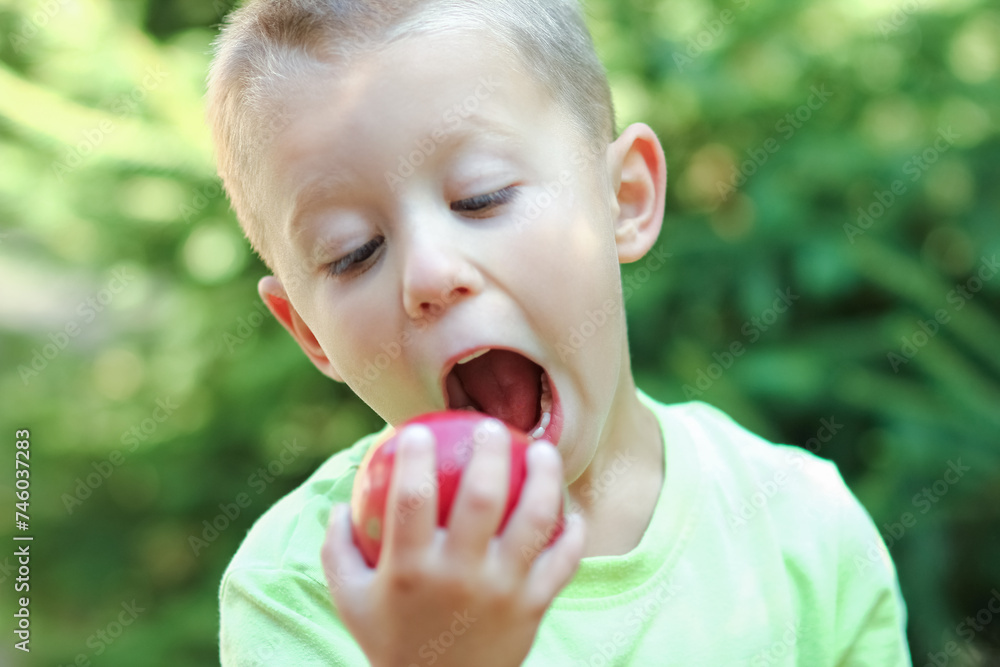 happy child with apple on nature in the garden background happy child with apple on nature in the garden background