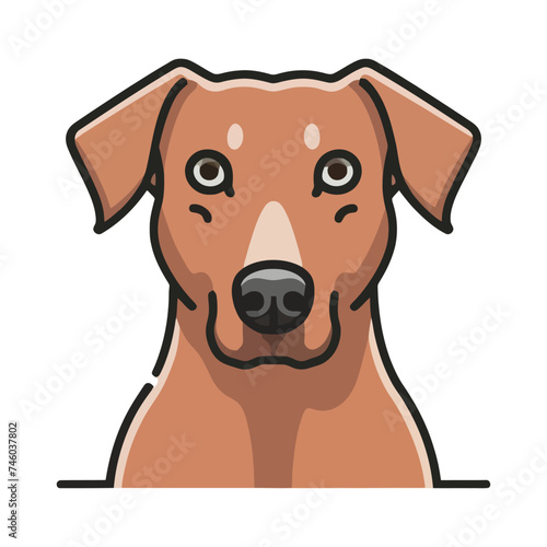 Dog Illustration