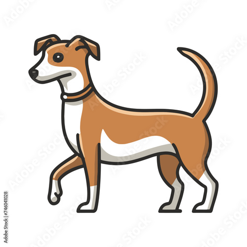 Dog Illustration