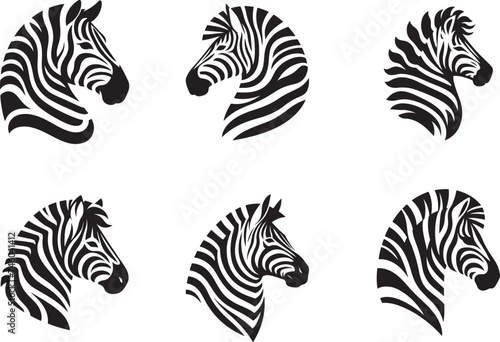 Zebra vector illustration