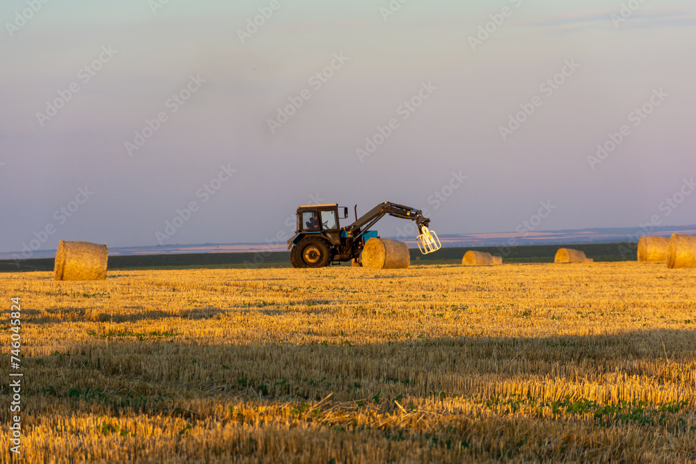 Fototapeta premium Tractor collecting round stacks of straw