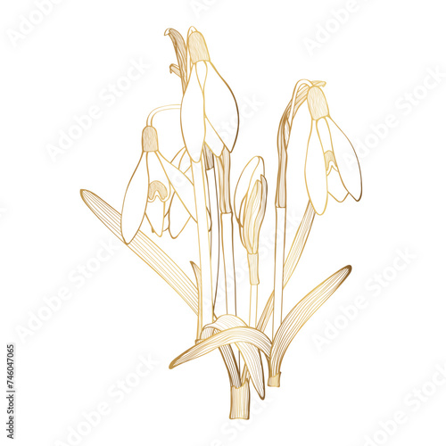 Bouquet of snowdrops. Set. Vintage flowers in engraving style. Golden line.