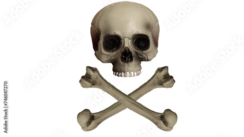 skull and crossbones photo