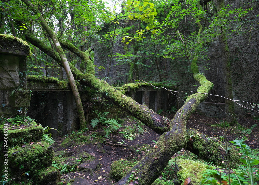 Buchanan Castle Ruin