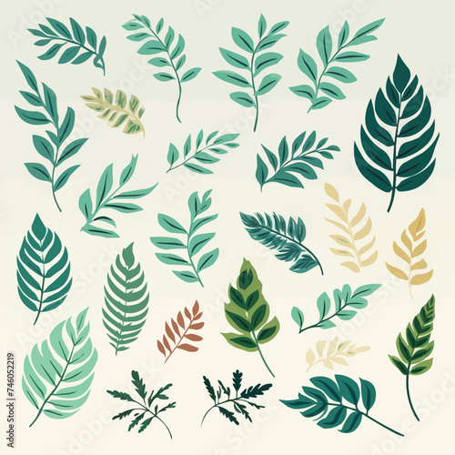 Set of tropical branches and leaves plants on free shape element isolated on background. Vector illustration