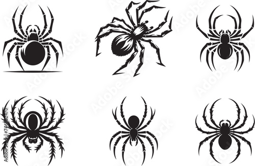 Spider silhouette vector illustration © CreativeDesigns