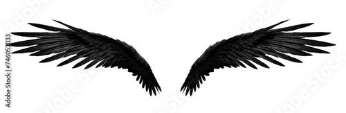 Symmetrical Black Bird Wings Isolated on White