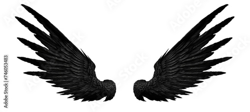 Symmetrical Black Bird Wings Isolated on White