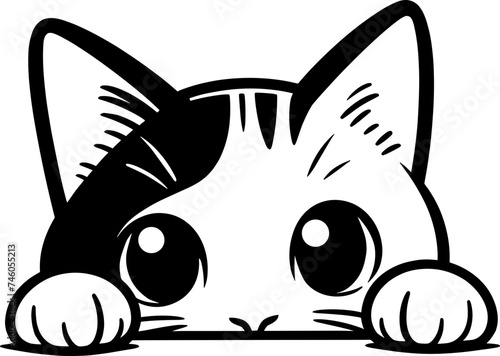 Cute Cat Peeking