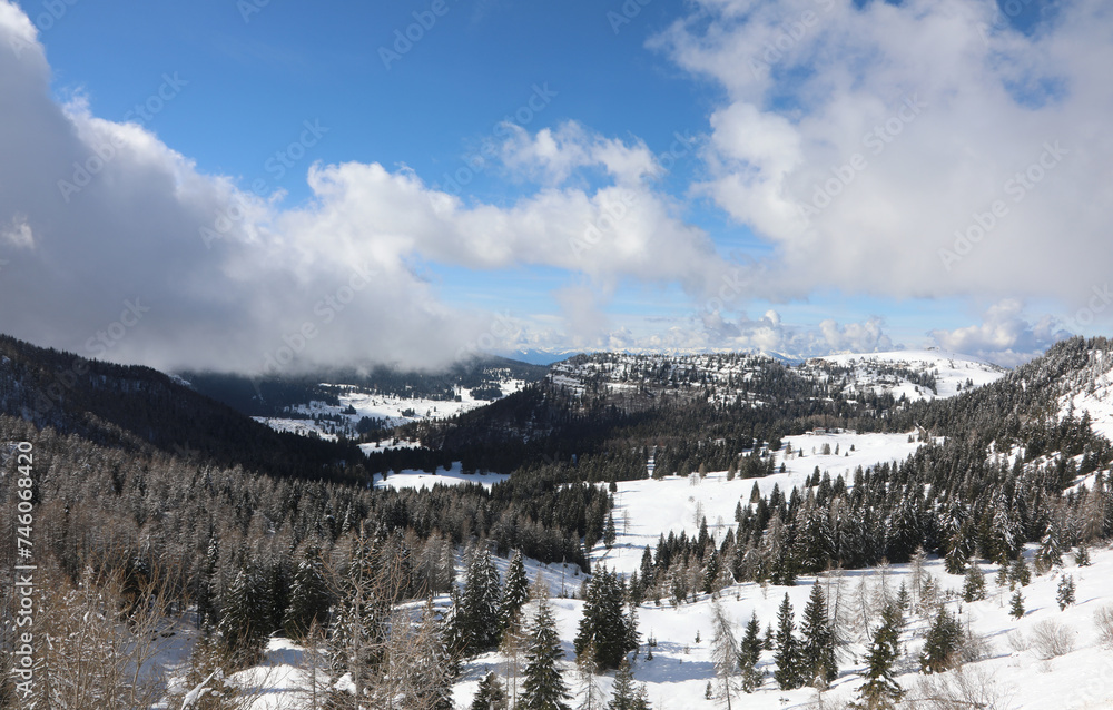 Breathtaking landscape of mountains in winter with freshly fallen snow on conifers