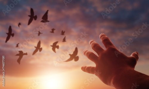 Praying hands and bird dove flying
