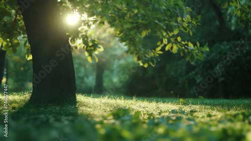 Spring Park. Green Grass, Leaves And Sunrays. Shot With Motorized Slider. Landscapes background