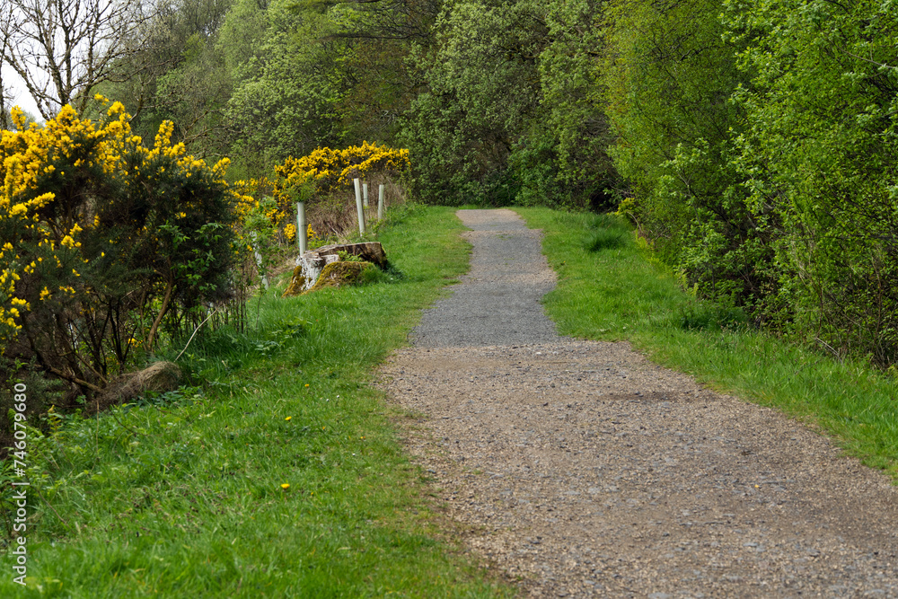 Weg beim Greenock Cut Path in Schottland Weg beim Greenock Cut Path in Schottland