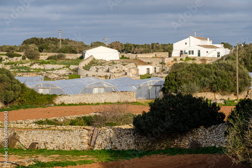 farm field, Torello Amagat, Maó, Menorca, Balearic Islands, Spain photo