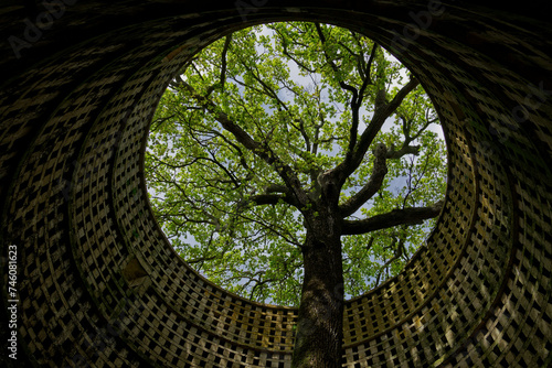 Photos old medieval abandoned dovecote with a tree growing in the middle