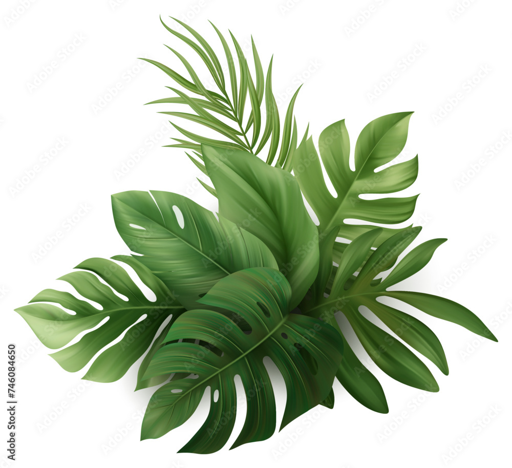 Exotic Tropic Summer Green Palm Leaves Vector Illustration for Beach Vibes and Hawaiian Floral Jungle Plant Exotic Tropic Summer Green Palm Leaves Vector Illustration for Beach Vibes and Hawaiian Floral Jungle Plant