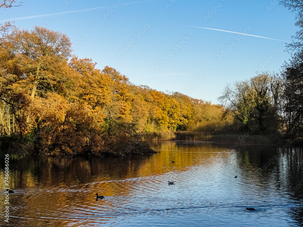 Fototapeta premium autumn in the park