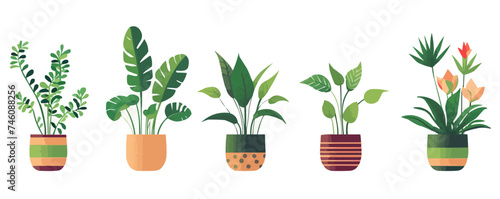 plants in flowerpots, indoor plants in flat style vector