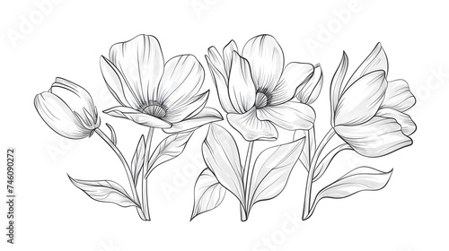 Hand drawn flower continuous. Spring flower with leaves. Botanical decorative drawing element