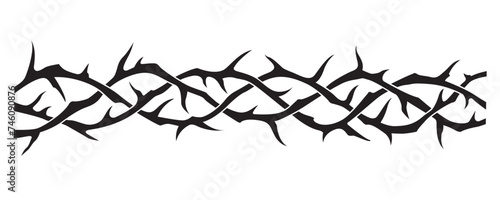 black crown of thorns image isolated on white background photo
