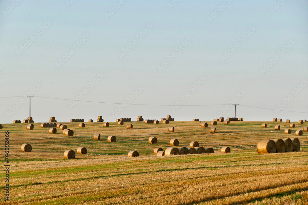 Scenic view of hay bales in rural Poland