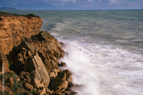 roche olas