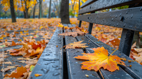 Upright bench in the park in autumn.