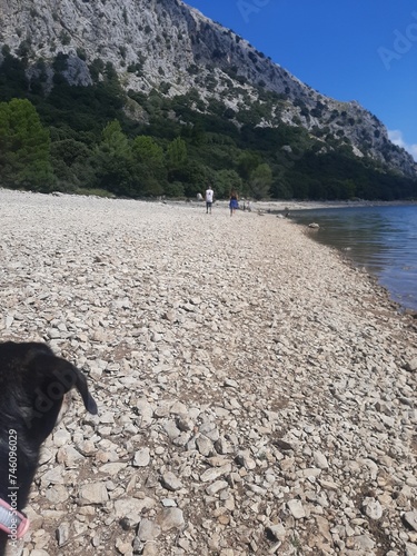 Orilla de embalse en Mallorca