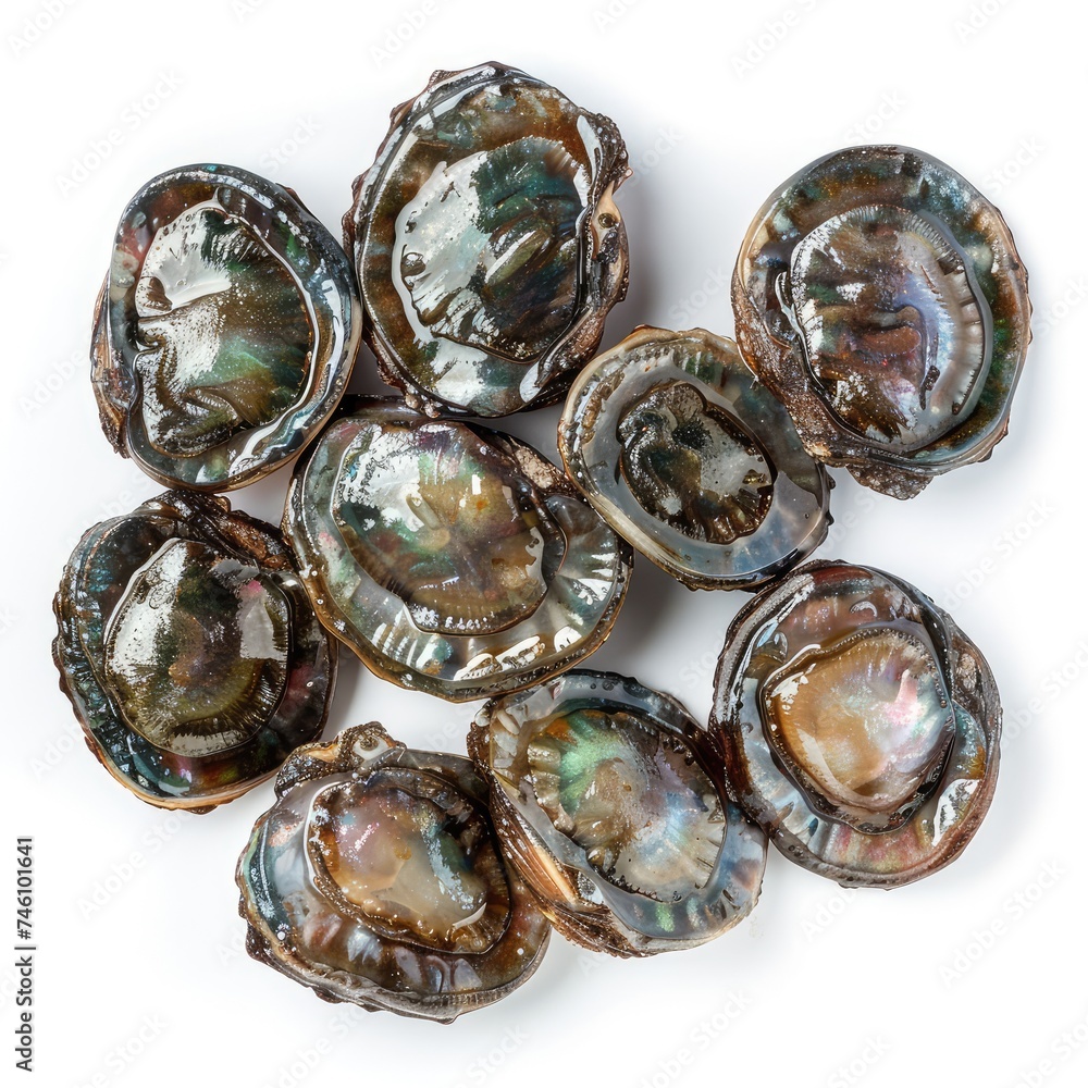 Fresh Raw Abalone Pile Isolated, Abalone Seafood, Delicacy Shellfish on White Background Fresh Raw Abalone Pile Isolated, Abalone Seafood, Delicacy Shellfish on White Background